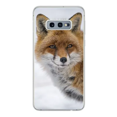 Produktbild von MuchoWow® Handyhülle Schutzhülle Hülle für Samsung Galaxy S10e Fuchs - Porträt - Schnee Silikon Softcase Handy Hülle - Handy