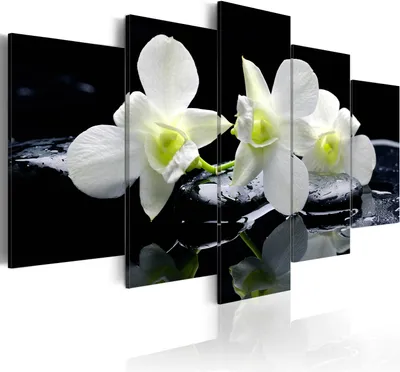 Produktbild von Leinwandbilder 200x100 cm b-B-0009-b-n Vlies Leinwandbild 5 tlg Kunstdruck modern Wandbilder XXL Wanddekoration Design Wand Bild BLUMEN