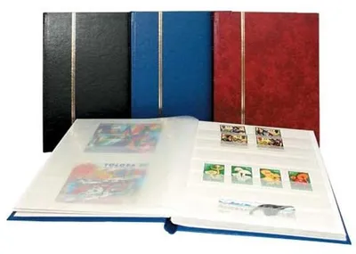 Produktbild von SAFE 141-4 Einsteckbuch Buchformat 16 schwarze Seiten