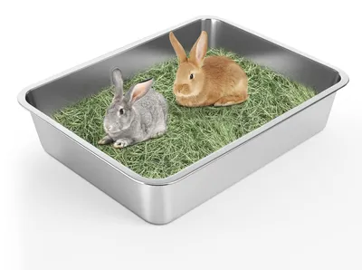 Produktbild von Große Katzenbox - Langlebig und Geruchsfrei