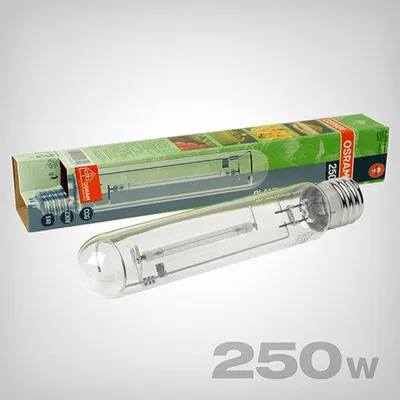 Produktbild von Osram Plantastar, Natriumdampflampe 250W