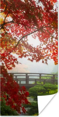 Produktbild von MuchoWow® Poster Japanischer Ahorn - Bäume - Brücke - Natur - Japanisch 20x40 cm - Plakat - Foto