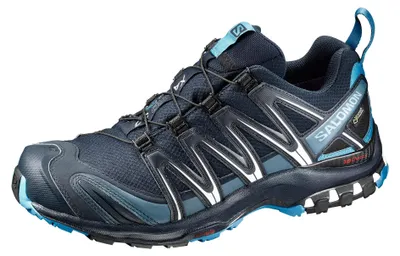 Produktbild von Salomon XA PRO 3D GTX, Laufen, Männlich, Erwachsener, Schwarz, Blau, Einfarbig, 45.3 (45 1/3)