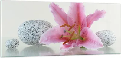 Produktbild von Bilder auf glas - Lilienblüte grün Pflanze - 100x40cm - Glasbilder - Wandbilder - Kunstdruck - zum Aufhängen bereit - Wanddekoration aus Glas - Glas Bilder - Wandbild auf Glas - GAB100x40-0485