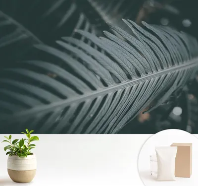 Zdjęcie produktu dla Fototapeta samoprzylepna – 104 x 70 cm – tapeta – tapeta ścienna – obrazy ścienne – folia samoprzylepna – folia dekoracyjna – tapeta foliowa – ściana – dekoracja – salon – zielony liść