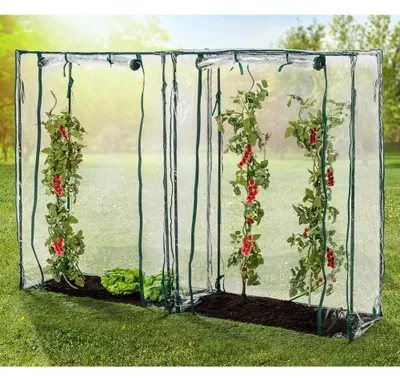 Produktbild von GreenYard Tomatengewächshäuser, ca.150 x 100 x 50 cm - 2 Stück