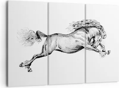 Produktbild von Bild auf Leinwand - Leinwandbild - 3 Teile - Pferd Zeichnung Bleistift - 105x70cm - Wand Bild - Wanddeko - Wandbilder - Leinwanddruck - Bilder - Wanddekoration - Leinwand bilder - CE105x70-4906