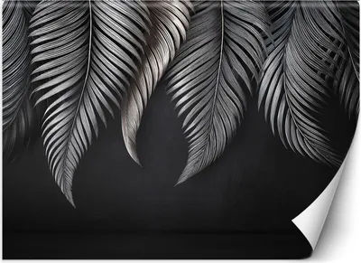 Produktbild von Vlies fototapete Bananenblätter grau 300x210 cm Feeby Grau inkl. Kleber einfache Montage