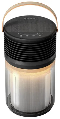 Obrázek produktu pro HEPA vzduchový filtr pro alergiky, odstraňuje pyl a alergeny, kompaktní, černý