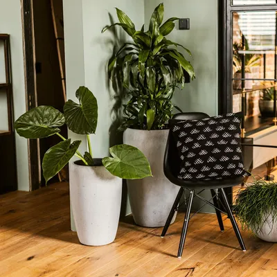 Produktbild von Klocke Design Blumentopf Betonoptik ⌀ 43 cm x H 69 cm