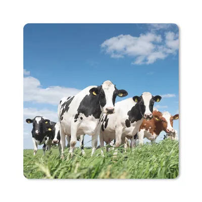 Produktbild von MuchoWow® Mauspad Mousepad Kühe - Landleben - Weide - Natur - Tiere 20x20 cm - Mousepads - Maus Mat - Pad - Mausunterlage - Desk Mat - Bureauartikeln
