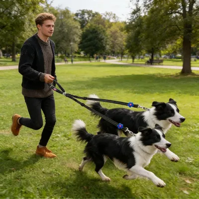 Produktbild von Hunde-Sicherheitsgurt – Haustier-Sicherheitsgeschirr für das Auto
