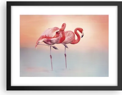 Produktbild von Gerahmtes Poster - Schwarzer Rahmen - Flamingos Exotik Vögel - 40x30 cm - Wand Bild - Wanddeko - Wandbilder - Kunstposter - Wandposter - Bilderrahmen - Bilder - Kunstdruck - P2BAA40x30-5044