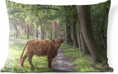 Produktbild von MuchoWow® Outdoor Kissen - Wald - Schottisches Hochlandrind - Licht - 50x30 cm - Wetterfest - Lounge Kissen - Sofa kissen - Wohnzimmer Dekoration