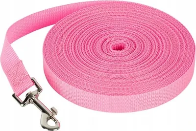 Produktbild von Petstory Hundeleine Band 4.5m Rosa Training