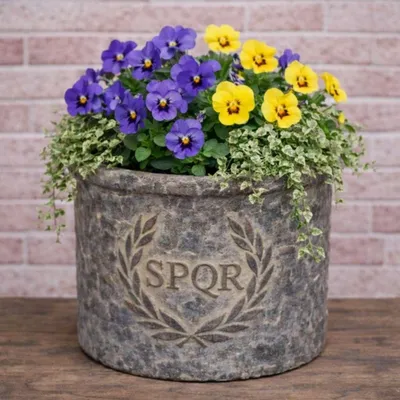 Produktbild von AltoBelli Blumentopf ROMA mit SPQR Wappen Antik Grau Patina Zement 14x12 cm