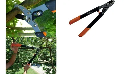 Zdjęcie produktu dla Sekator damski Garden PRIMUS 1105, długość: 470 mm