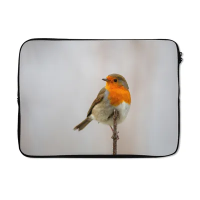 Produktbild von MuchoWow® Laptop Hülle 13 Zoll Rotkehlchen - Zweige - Tiere Laptoptasche - Laptophülle - Sleeve - Rundumschutz