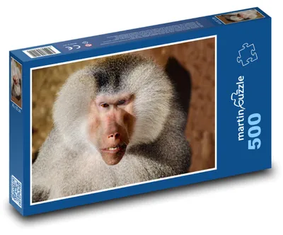 Obrázek produktu pro martinpuzzle - Puzzle 500 - Pavián - zvíře, opice