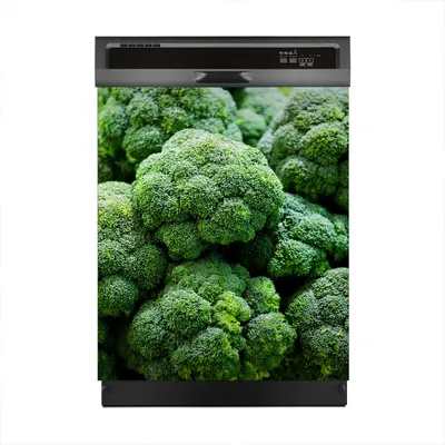 Produktbild von Aufkleber sticker 60x70 cm Dekorative folie Spülmaschine - Frischer Brokkoli Gemüse