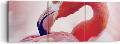 Produktbild von Bild auf Leinwand - Leinwandbild - 3 Teile - Flamingo Vogel Porträt - 90x30cm - Wand Bild - Wanddeko - Wandbilder - Leinwanddruck - Bilder - Wanddekoration - Leinwand bilder - Wandbild - CA90x30-4984