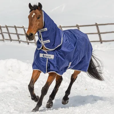 Obrázek produktu pro Venkovní koberec Bucas 200g s krční částí Atlantic Turnout rug Navy 165