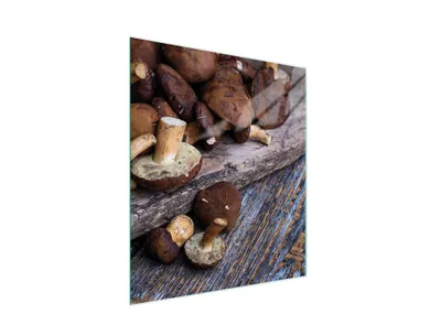 Obrázek produktu pro Skleněné prkénko na krájení hub 45x52