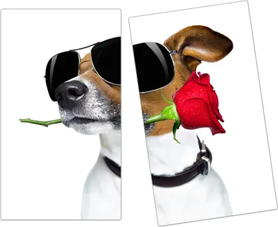 Produktbild von Spritzschutz Herdabdeckplatte Schneidebrett aus Glas Hund mit Rose und Brille 2-Teilig (60x52cm)