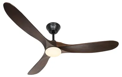 Immagine prodotto di ECO GENUINO L 152, Ventilatore con Luce, CasaFan
