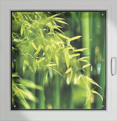 Produktbild von Wallario Lichtschutzbild, Dekorativer Sichtschutz Sonnenschutz 96 x 100 cm mit Motiv: Bambuswald mit grünen Bambuspflanzen - Verdunklung ohne Bohren