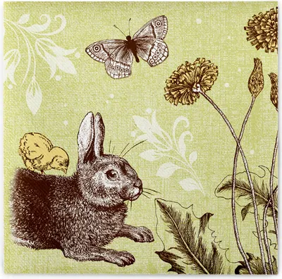 Produktbild von Airlaid Serviette Peter in Grün, 40 x 40 cm, 50 Stück - Mank - Osterserviette Osterhase