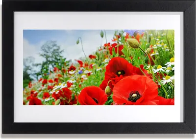 Produktbild von Bild 30x20 MDF-Rahmen Wandkunst Blumen Natur