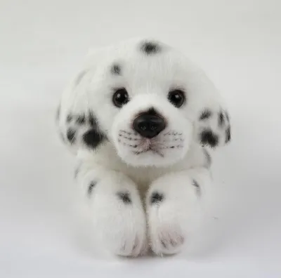 Produktbild von Kuscheltier Dalmatiner liegend 28 cm Hund