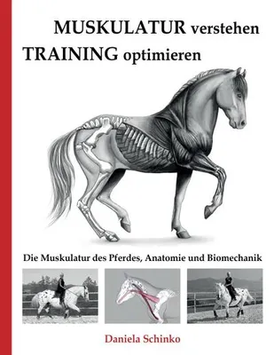 Produktbild von Muskulatur verstehen - Training optimieren