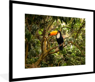 Produktbild von MuchoWow® Gerahmtes Poster Vogel - Tukan - Dschungel - Natur - Tropisch 80x60 cm - Poster mit Schwarzem Bilderrahmen Wandposter Rahmen Foto Bilder - Schlafzimmer-Dekorationen - Fotoposter