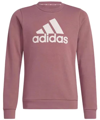 Image de Sweatshirt Adidas IZ3434 pour Enfant