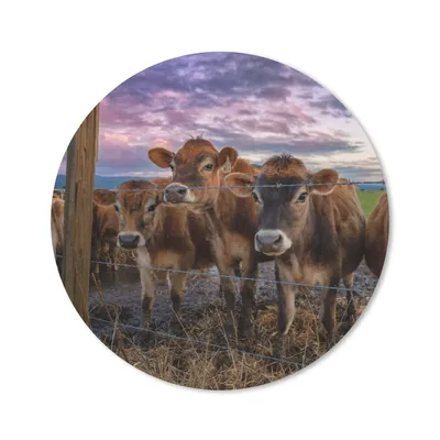Produktbild von MuchoWow® Mauspad Mousepad Kuh - Tiere - Kühe 30x30 cm - Mousepads - Maus Mat - Pad - Mausunterlage - Tischunterlage - Schreibtischmatten