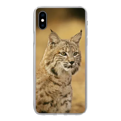 Produktbild von MuchoWow® Handyhülle Schutzhülle Hülle für iPhone Xs Luchs - Braun - Gras Silikon Softcase Handy Hülle - Handytasche