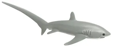 Image de Safari Ltd - Figurine de requin-renard - Gris - À partir de 3 ans - Gris - À partir de 3 ans