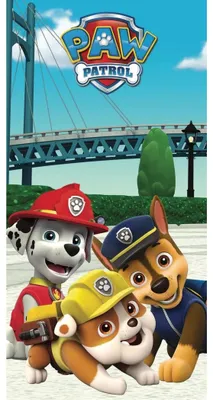 Zdjęcie produktu dla Ręcznik Paw Patrol 060 70x140 cm