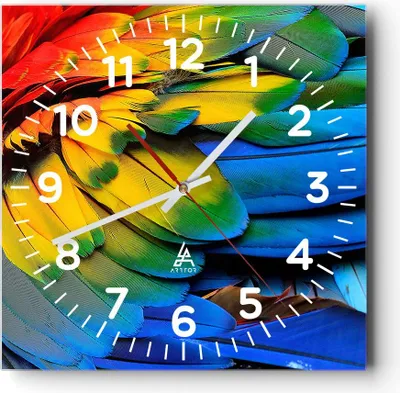 Produktbild von Wanduhr - Quadrat - Glasuhr - Feder Papagei Vogel - 40x40cm - Schleichendes Uhrwerk - Lautlos - zum Aufhängen bereit - Dekoration Modern - Wanddekoration aus Glas - C4AC40x40-3428