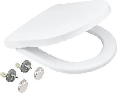 Obrázok produktu pre Grohe Solido - WC doska, SoftClose, alpská biela 42473000