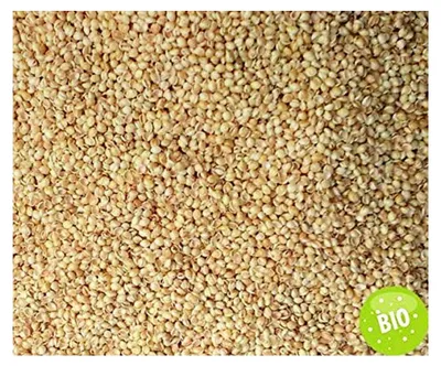 Produktbild von Bio-Hirsekissen 40x80cm, Bio-Perkal und Bio-Füllung, direkt befüllt | ungefärbt und ungebleicht | Schlafkissen, Kopfkissen