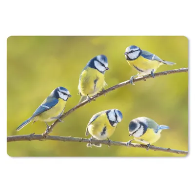 Produktbild von MuchoWow® Mauspad Mousepad Vogel - Blaumeise - Äste - Sonne 27x18 cm - Mousepads - Maus Mat - Pad - Mausunterlage - Büroartikel - Desk Matten