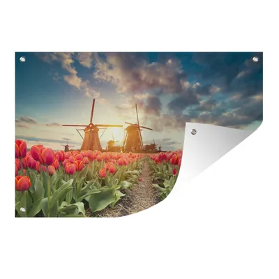 Obrázek produktu pro MuchoWow® Zahradní plakáty - Větrný mlýn - Květiny - Slunce - 80x120 cm - Zahradní dekorace