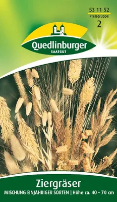 Produktbild von Quedlinburger Saatgut - Ziergräser Mischung - Samen - 531152