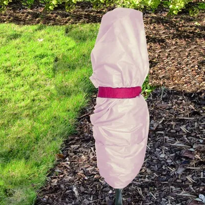 Produktbild von Wintervlies grün 1,5 x 5 m