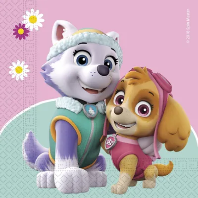 Image de Serviettes en papier Paw Patrol 33x33 20 pcs.