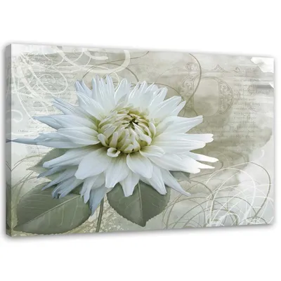 Produktbild von Leinwandbild weiße vintage-blume 90x60 cm Feeby beige wandbild bereit zum aufhängen