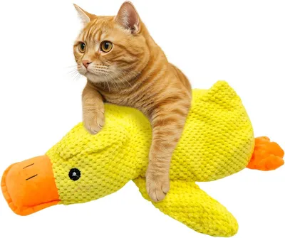 Produktbild von Katzenminze Enten Spielzeug Katzengras Zahnreinigung Anti Stress.